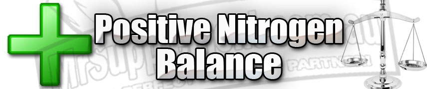 mrsupplement-au-positive-nitrogen-balance-great-reading