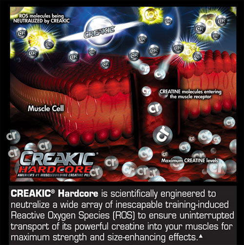 MuscleTech Creakic